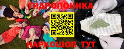 сатива Кулебаки